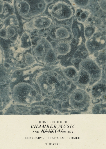 Up Close by John Derian