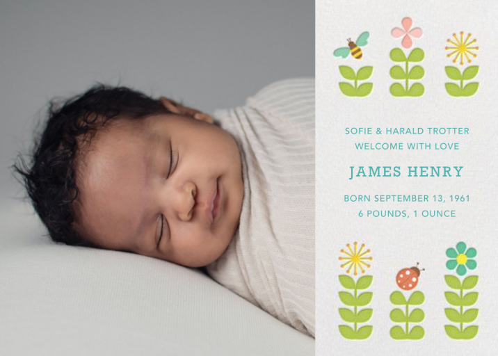 Garden (Horizontal) - Birth Announcement by Petit Collage
