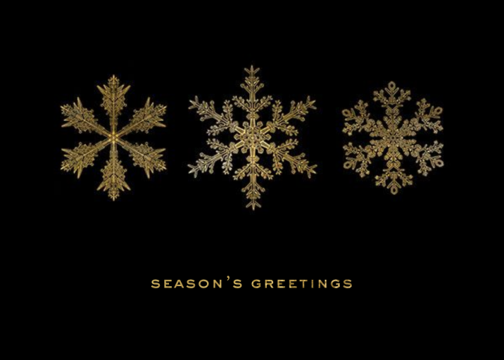 Snowflake Seasons Greetings - Holiday Card by Paperless Post