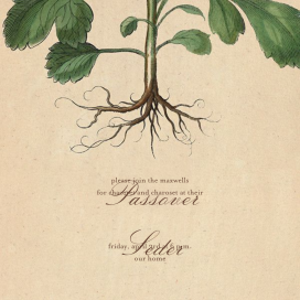 Roots by John Derian