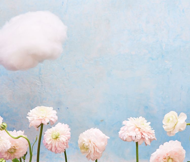 A blue backdrop with clouds and pink flowers.