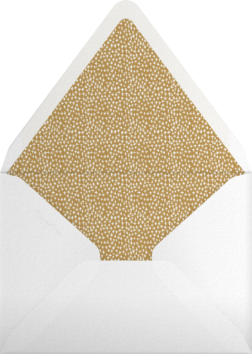 Photo Striped Border Invitation Envelope