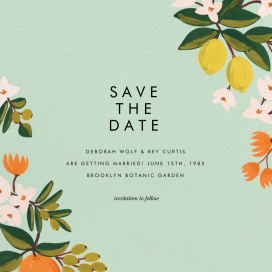 Citrus Orchard Suite (Save the Date) by Rifle Paper Co.
