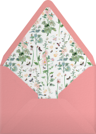Butterfly Meadow (Inslee Fariss) - Dogwood Hill Envelope