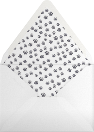 Dog Days (Stationery) - Paperless Post Envelope