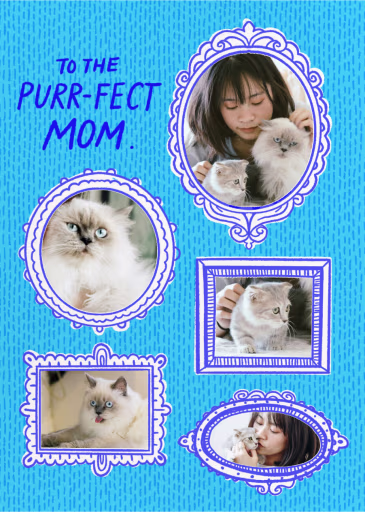 Purr-fect Photo - Mother's Day Card by Hello!Lucky