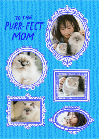 Purr-fect Photo - Mother's Day Card by Hello!Lucky