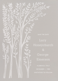 Louisa II (Save The Date) - Save the Date by Paperless Post
