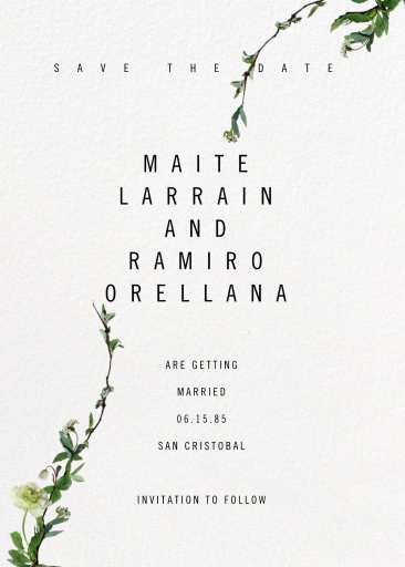 Chincoteague (Save the Date) - Save the Date by Paperless Post