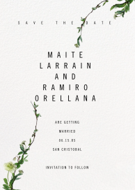 Chincoteague (Save the Date) by Paperless Post