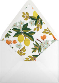 Citrus Orchard Suite - Rifle Paper Co. Envelope
