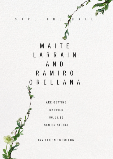 Chincoteague (Save the Date) by Paperless Post