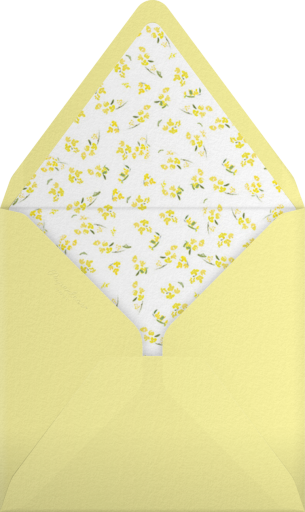 Heathers (Save the Date) - Paperless Post Envelope