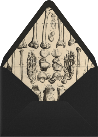 Skeleton - John Derian Envelope