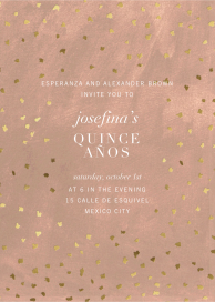 Flurry - Quinceañera Invitation by Kelly Wearstler