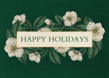 Hellebore Christmas Rose (Greeting) - Holiday Card by John Derian