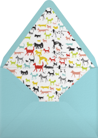 Blow Out the Candles - Mr. Boddington's Studio Envelope