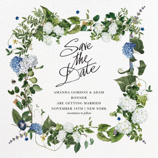 Provence by Stephanie Fishwick