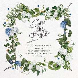 Provence by Stephanie Fishwick