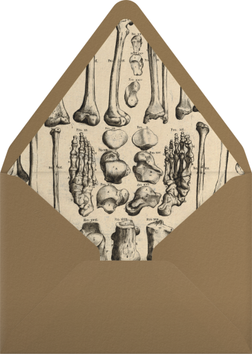 Bones Border - John Derian Envelope