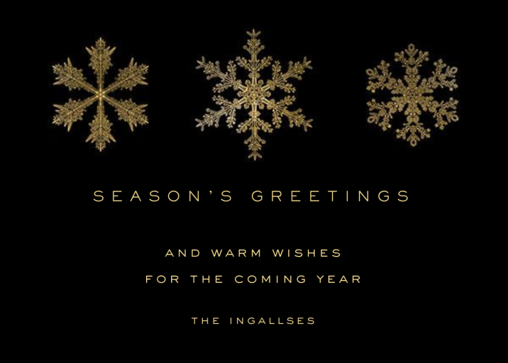 Snowflake Seasons Greetings - Holiday Card by Paperless Post