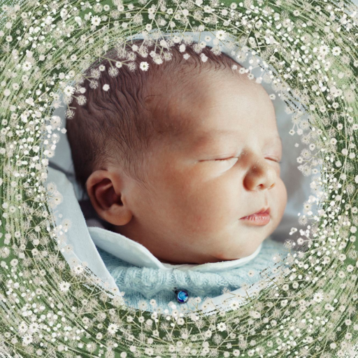 Love Nest Photo - Birth Announcement by Paperless Post