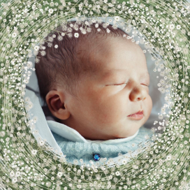 Love Nest Photo by Paperless Post