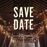 Wedding Save The Dates Send Online Instantly Track Opens