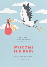 Airmail - Baby Shower Invitation by Hello!Lucky