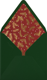 Snowy Sprigs - Paperless Post Envelope