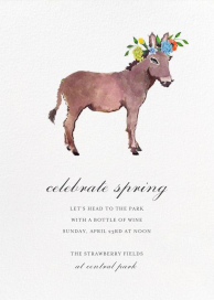 Donkey in the Meadow - Spring Party Invitation by Happy Menocal