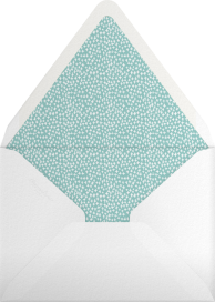 May in Lyon - Mr. Boddington's Studio Envelope