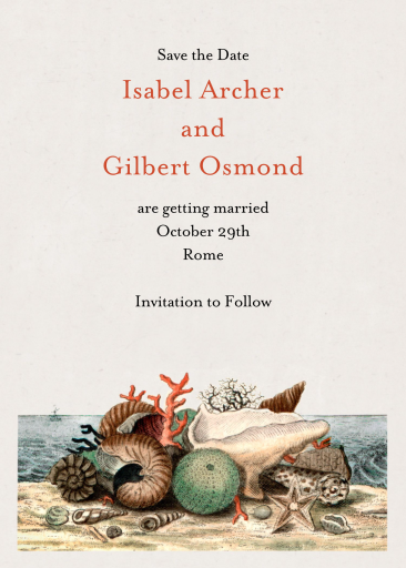 Shells Still Life - Save the Date by John Derian