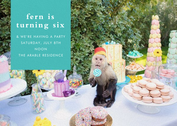 Capuchin Picnic by Gray Malin