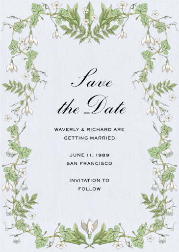 Madagascar Jasmine by Stephanie Fishwick