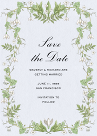 Madagascar Jasmine by Stephanie Fishwick