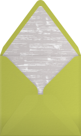 Literally Everything - Paperless Post Envelope