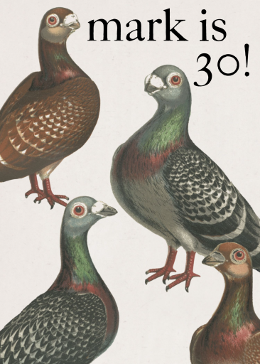 Bird Talk by John Derian