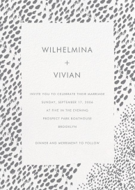 Panthera by Linda and Harriett