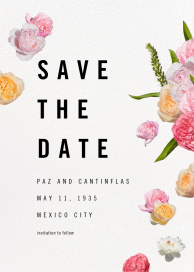 Brunswick (Save the Date) by Paperless Post