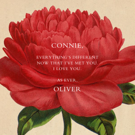 Paeonia - Greeting Card by John Derian