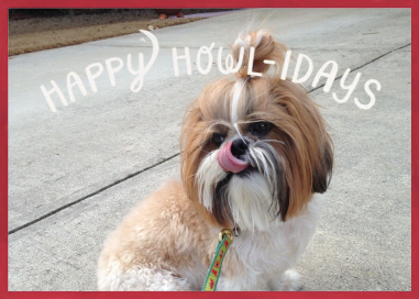 Howliday Best (Photo) by Derek Blasberg