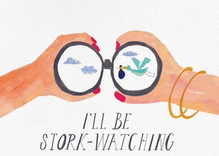 Stork Watch by Mr. Boddington's Studio