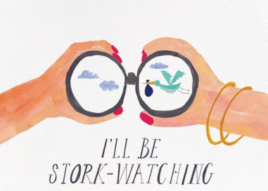 Stork Watch - Greeting Card by Mr. Boddington's Studio