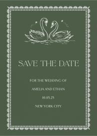 Swan Pair by Inquisited