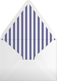 Biplane - Paperless Post Envelope
