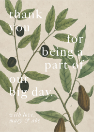 Fruit Tree - Thank You Card by John Derian