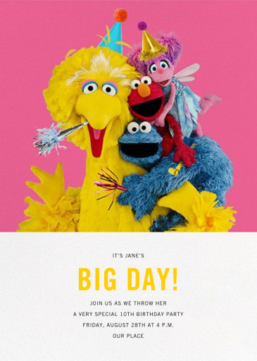 Big Bird and Company by Sesame Street