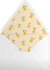 Little Zest - Little Cube Envelope