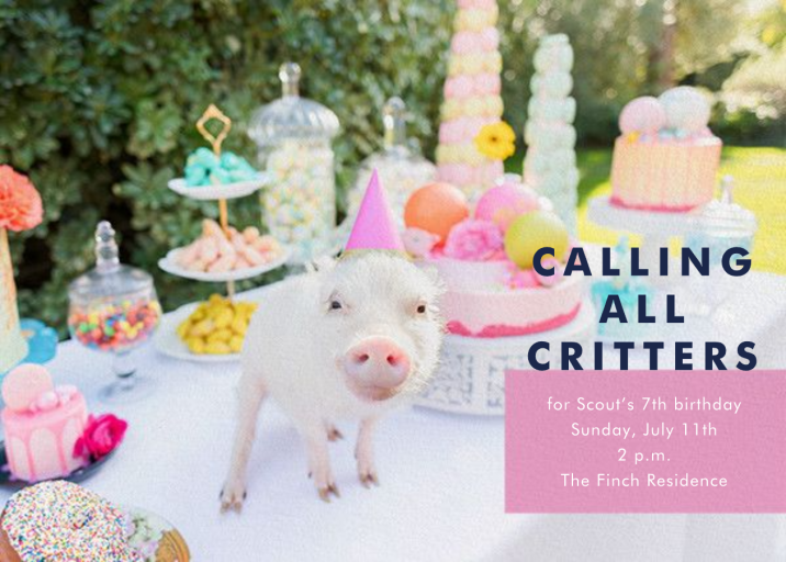 Piggy Picnic by Gray Malin